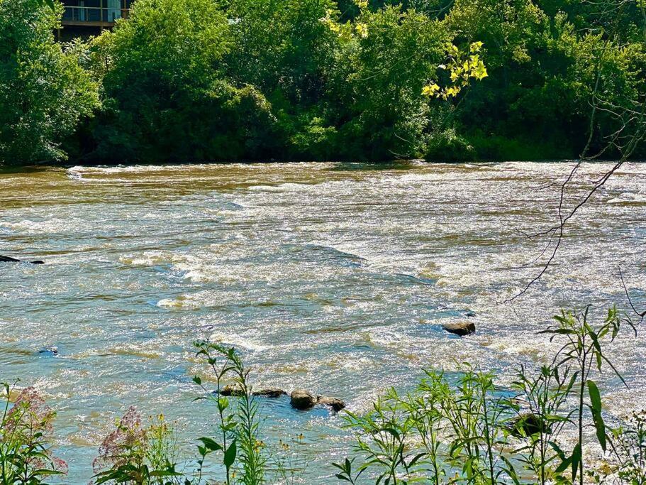 Riverside Relaxer W/Hot Tub+Fire Pit +Wifi & View Франклин Екстериор снимка